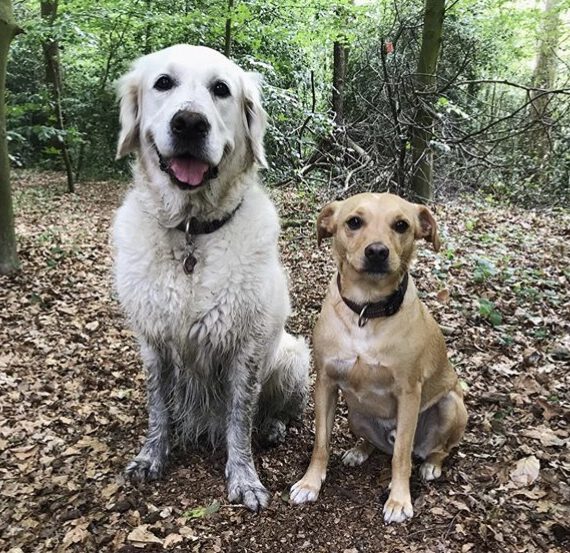 De natuur - 10 redenen om vaker naar buiten te gaan