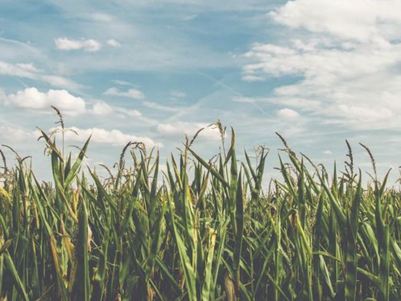 Ademhalingsoefening ochtend